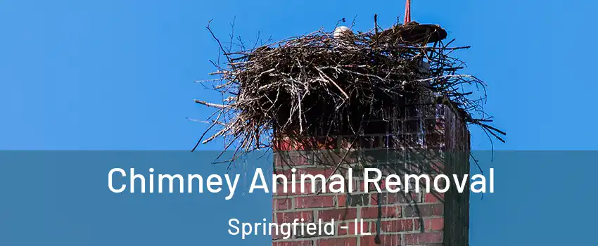  Chimney Animal Removal Springfield - IL