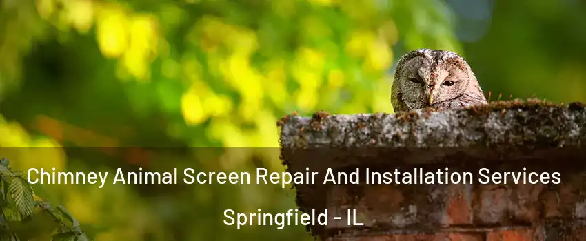  Chimney Animal Screen Repair And Installation Services Springfield - IL