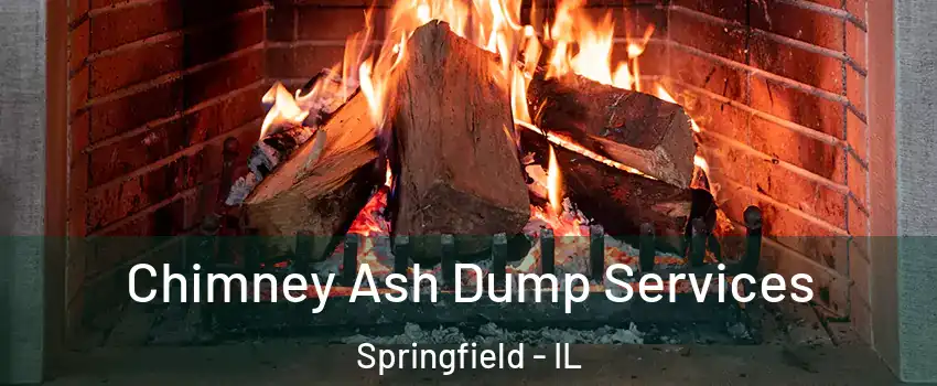  Chimney Ash Dump Services Springfield - IL