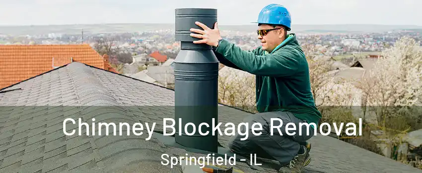  Chimney Blockage Removal Springfield - IL