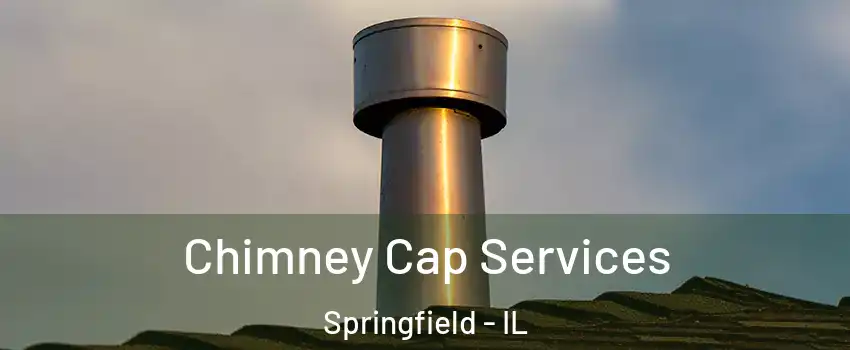  Chimney Cap Services Springfield - IL
