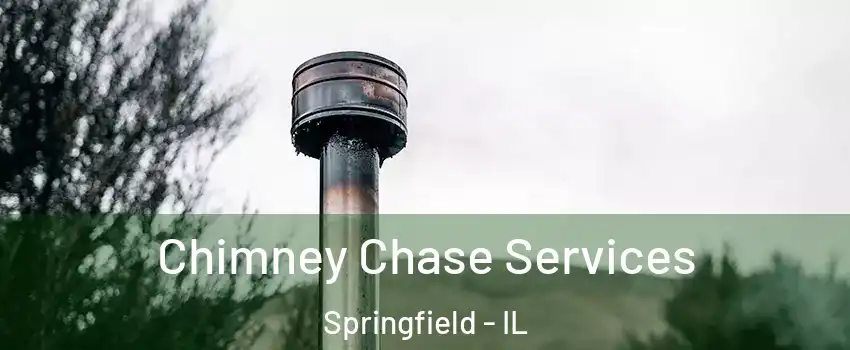  Chimney Chase Services Springfield - IL