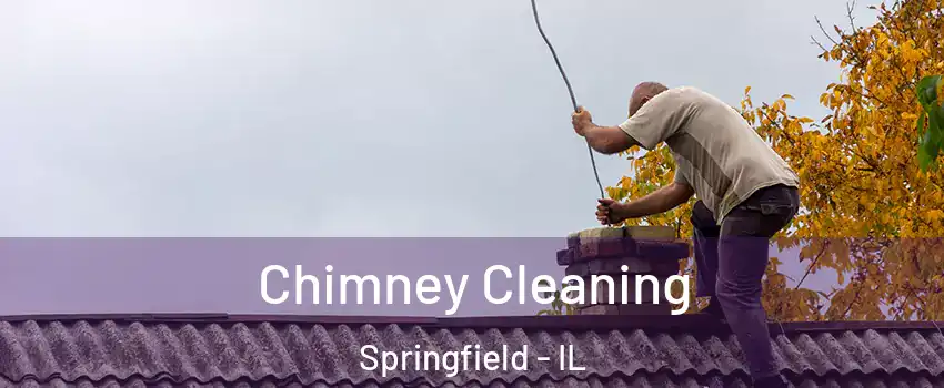  Chimney Cleaning Springfield - IL