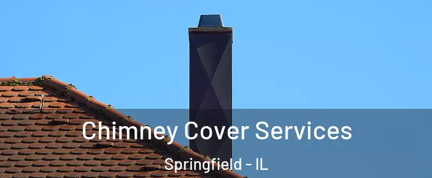  Chimney Cover Services Springfield - IL
