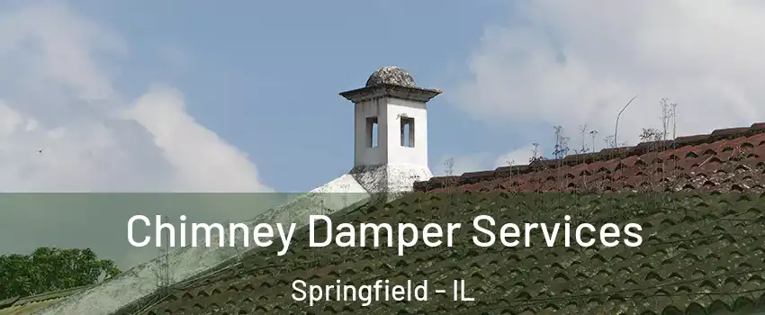  Chimney Damper Services Springfield - IL