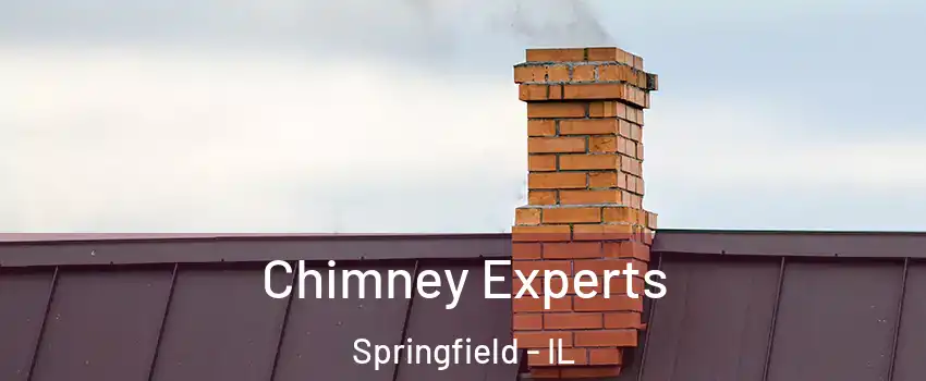  Chimney Experts Springfield - IL