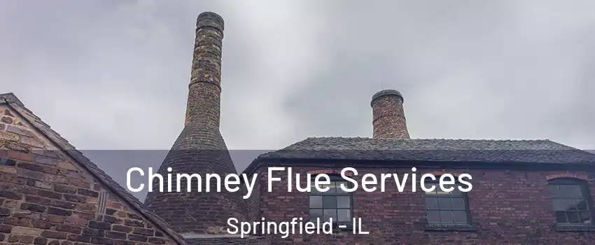  Chimney Flue Services Springfield - IL