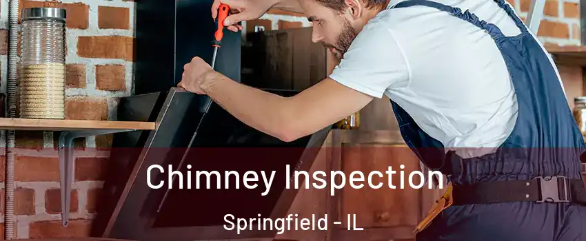  Chimney Inspection Springfield - IL