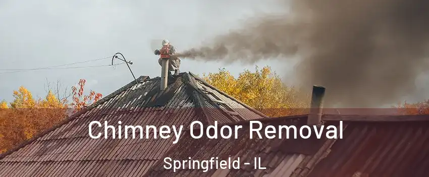  Chimney Odor Removal Springfield - IL