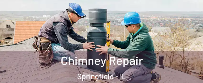  Chimney Repair Springfield - IL