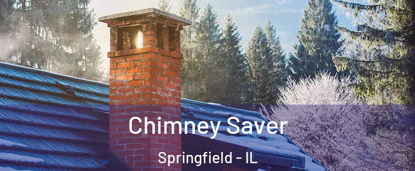  Chimney Saver Springfield - IL