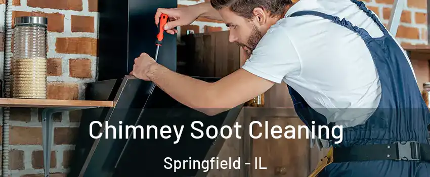  Chimney Soot Cleaning Springfield - IL