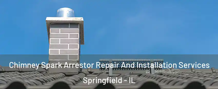  Chimney Spark Arrestor Repair And Installation Services Springfield - IL