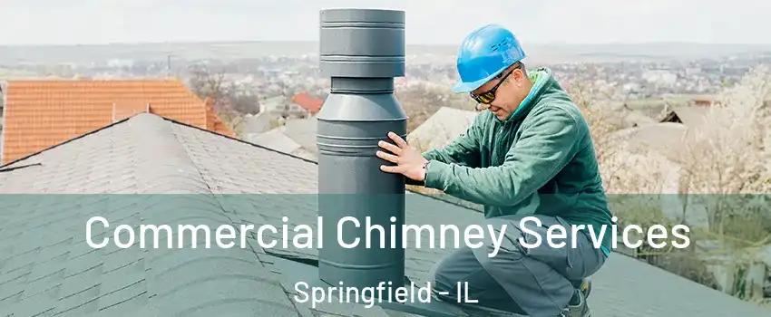  Commercial Chimney Services Springfield - IL