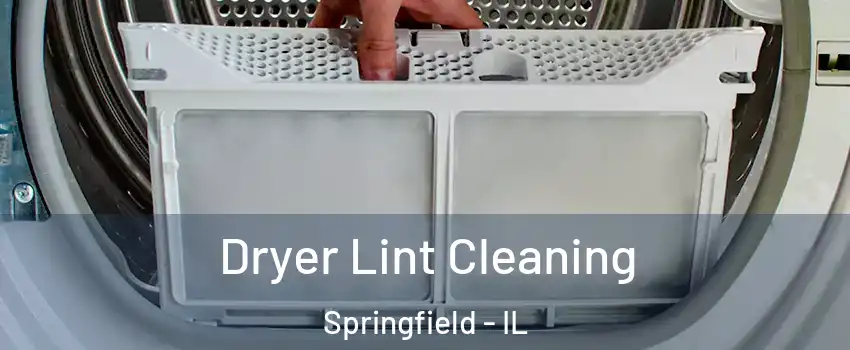  Dryer Lint Cleaning Springfield - IL