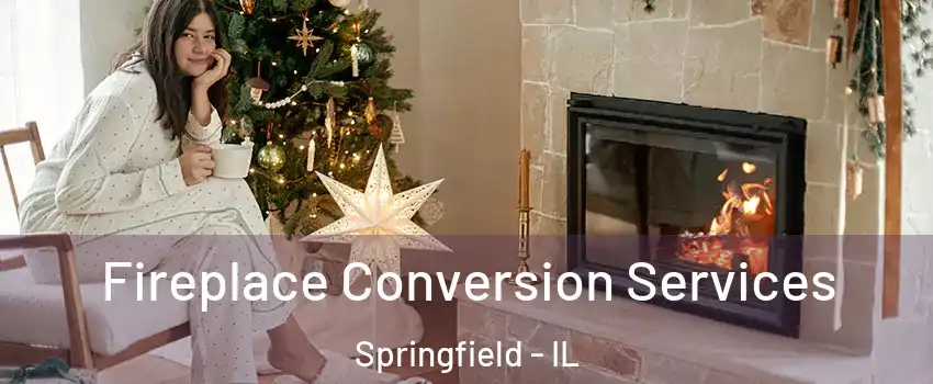  Fireplace Conversion Services Springfield - IL