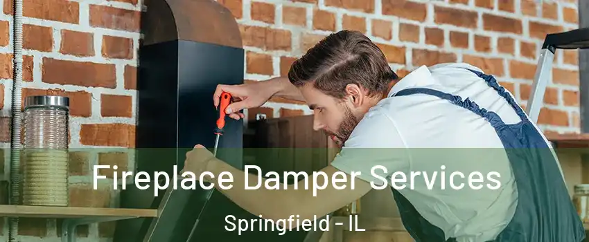  Fireplace Damper Services Springfield - IL