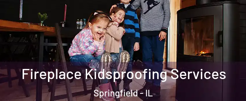  Fireplace Kidsproofing Services Springfield - IL