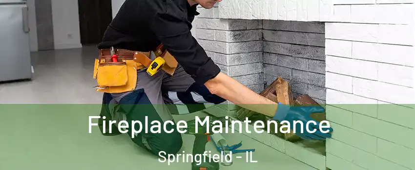  Fireplace Maintenance Springfield - IL