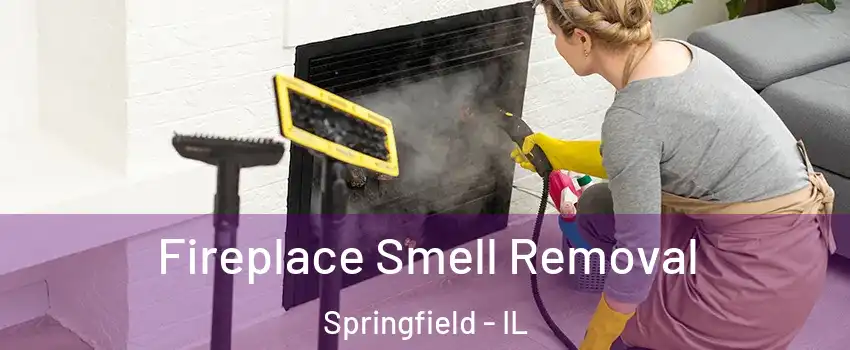  Fireplace Smell Removal Springfield - IL