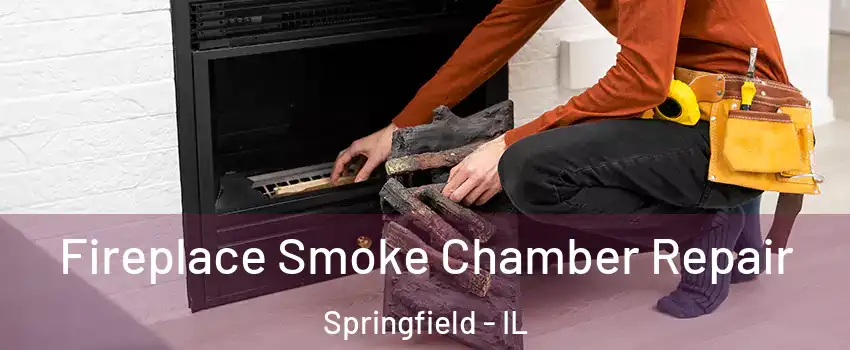  Fireplace Smoke Chamber Repair Springfield - IL