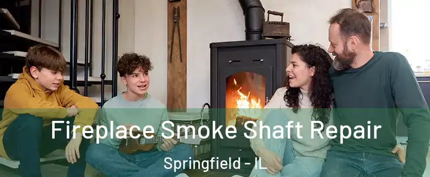  Fireplace Smoke Shaft Repair Springfield - IL