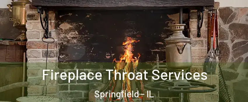  Fireplace Throat Services Springfield - IL