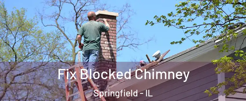 Fix Blocked Chimney Springfield - IL