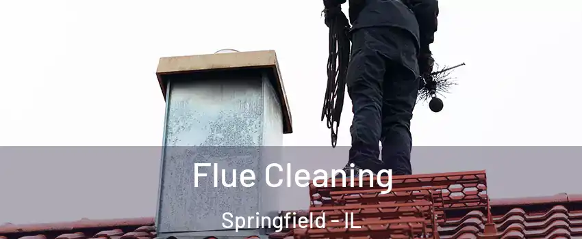  Flue Cleaning Springfield - IL