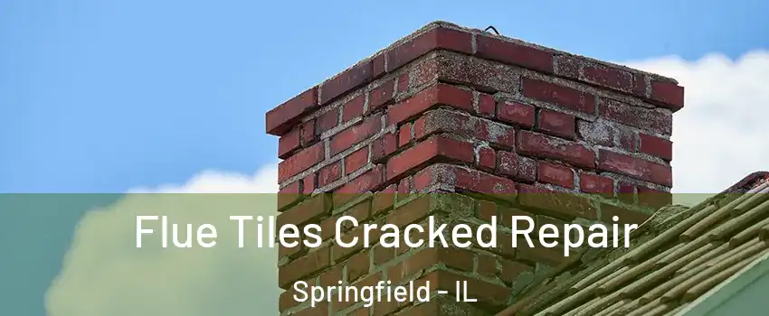  Flue Tiles Cracked Repair Springfield - IL