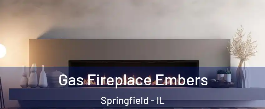  Gas Fireplace Embers Springfield - IL