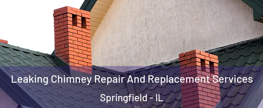  Leaking Chimney Repair And Replacement Services Springfield - IL
