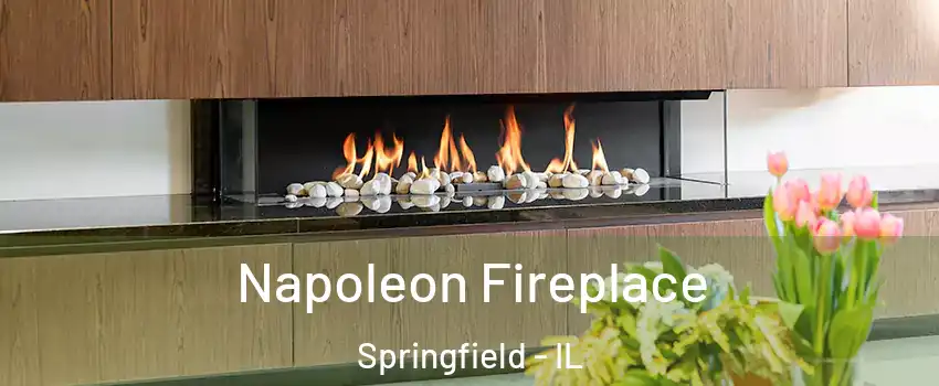  Napoleon Fireplace Springfield - IL