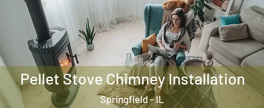  Pellet Stove Chimney Installation Springfield - IL